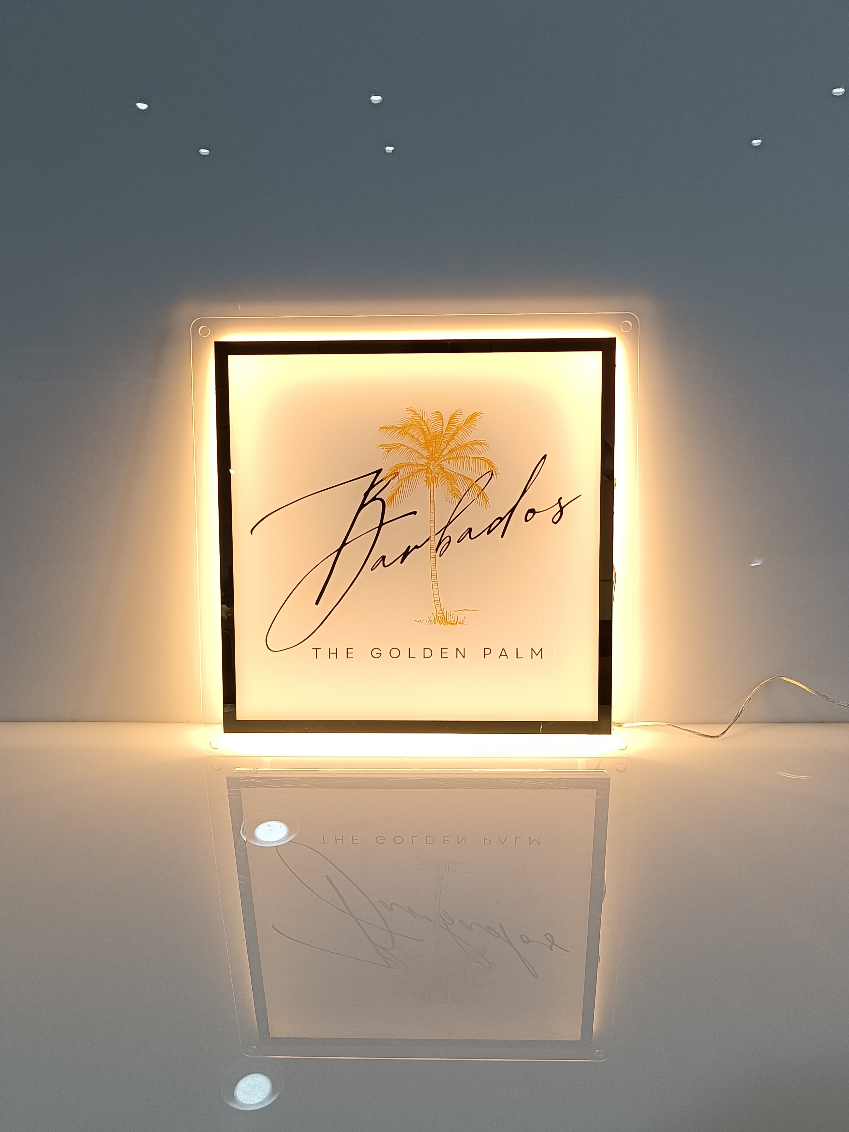 Custom Gold Backlit Sign